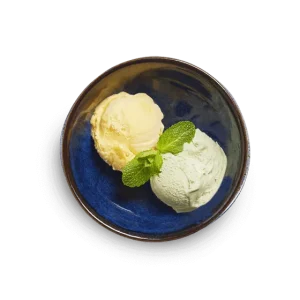 Wagamama Juice Sorbet