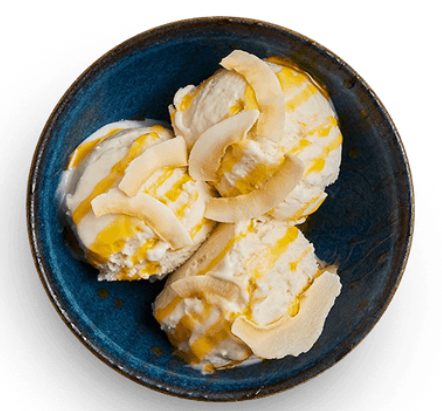Coconut Reika Ice Cream